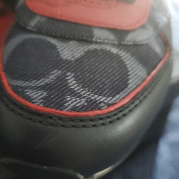 Preloved Coach Bennet Purse w/wallet & Coach Rebecca 9.5 shoes (great condition) - Picture 6 of 16